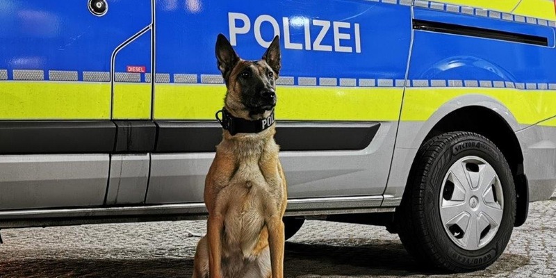 POL-HH: 240108-3. Diensthündin spürt Einbrecher in Hamburg-St. Georg auf - Zuführung - Foto: presseportal.de