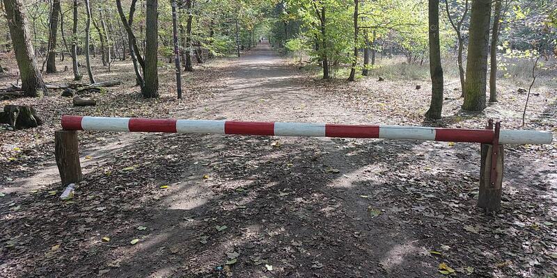 Schranke im Wald - Foto: ?ber dts Nachrichtenagentur