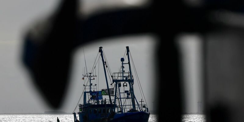 Die EU-Kommission erarbeitet jedes Jahr auf Grundlage wissenschaftlicher Empfehlungen Fangmengen. Das letzte Wort haben aber die EU-Fischereiminister. - Foto: Frank Molter/dpa