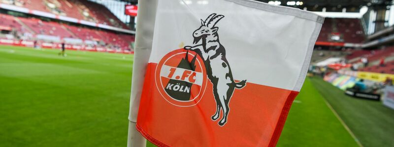 Der 1. FC Köln hat in der vergangenen Saison eine positive Bilanz erzielt. - Foto: Christophe Gateau/dpa