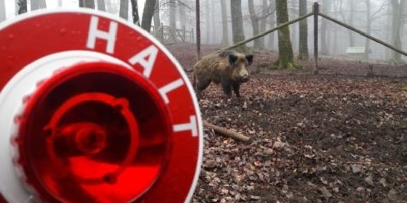 POL-EU: Zeitumstellung am Wochenende - Polizei warnt vor erhöhter Wildwechsel-Gefahr - Foto: presseportal.de