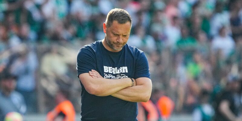 Pal Dardai bleibt Trainer der Berliner Hertha. - Foto: Soeren Stache/dpa