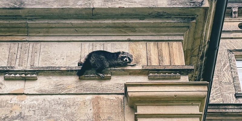 FW-MH: Sturm- und Hochwasserlage in Mülheim - Foto: presseportal.de