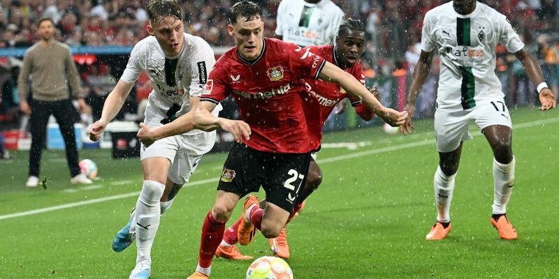 Bayers Terrier verletzte sich früh. - Foto: Federico Gambarini/dpa