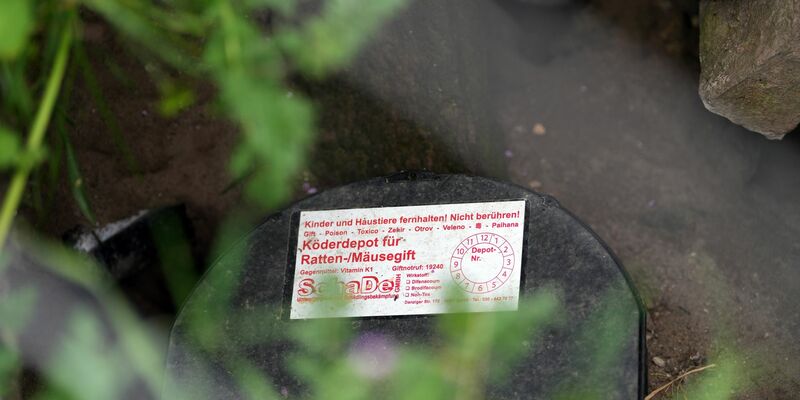 Solche Köder-Fallen helfen bei der Rattenbekämpfung. - Foto: Soeren Stache/dpa