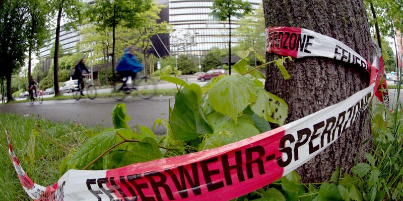 Absperrband der Feuerwehr hängt an einem Baum: Am späten Abend des 28.05.2013 wurde an der Stelle ein 31-Jähriger von einem unbekannten Mann so schwer verletzt, dass er kurze Zeit später im Krankenhaus starb - Foto: picture alliance / dpa