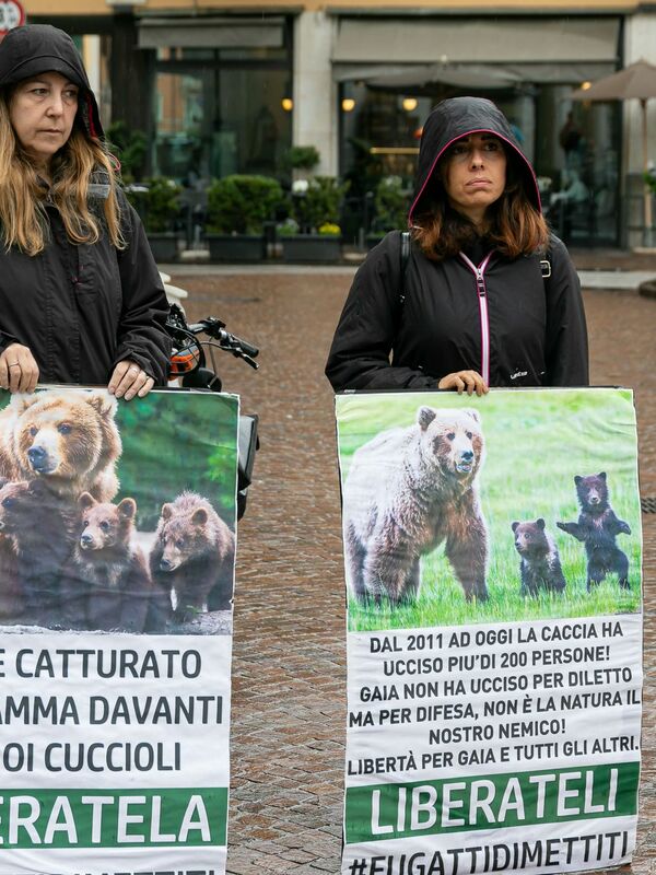 Dopo un micidiale attacco di un orso a un giovane corridore nel nord Italia, scoppia una disputa su Zuku