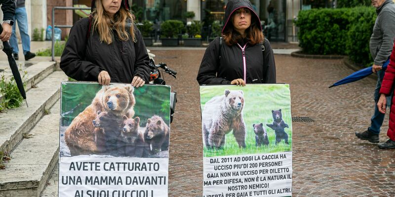 Umweltschützerinnen demonstrieren für die Befreiung der Bärin JJ4. - Foto: Enrico Pretto/LaPresse via ZUMA Press/dpa