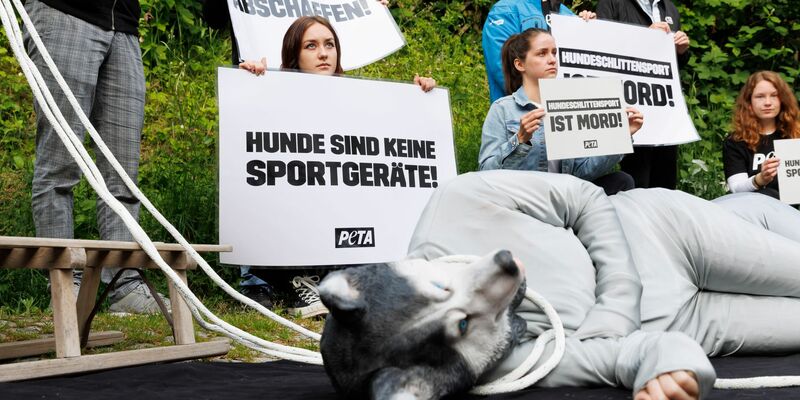 Die Tierschutzorganisation Peta protestiert vor dem Gericht. - Foto: Julian Rettig/dpa