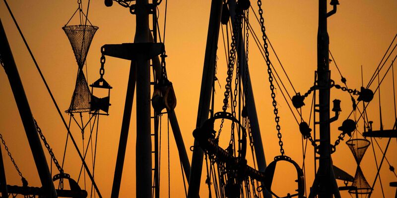 In der EU sollen die Vorgaben gegen umweltschädliche Überfischung besser kontrolliert werden. - Foto: Sina Schuldt/dpa