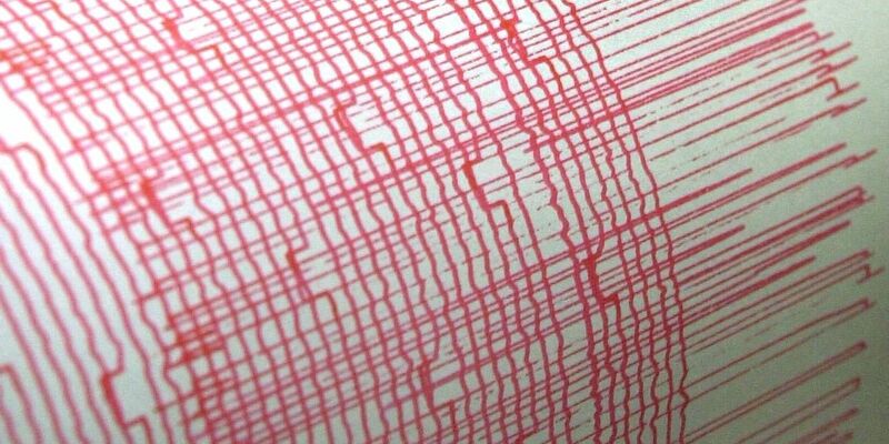 Ein Monitorschreiber zeichnet die Erschütterungen eines Erdbebens auf. (Symbolbild) - Foto: Bernd Thissen/dpa