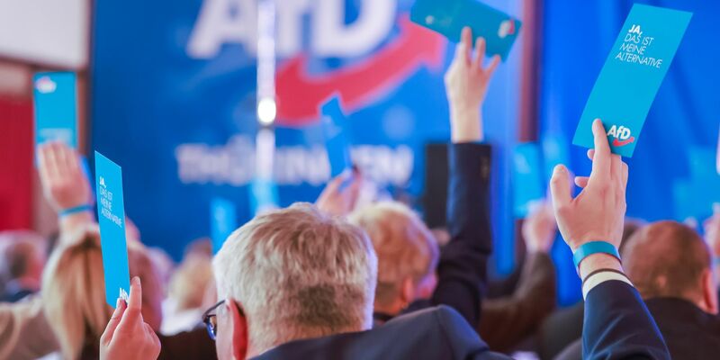 Die AfD hat in jüngsten Umfragen an Zustimmung gewonnen. - Foto: Michael Reichel/dpa