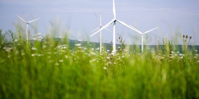 Immer mehr Banken setzen sich scheinbar für Umweltschutz ein - aber tun sie das wirklich? - Foto: Julian Stratenschulte/dpa