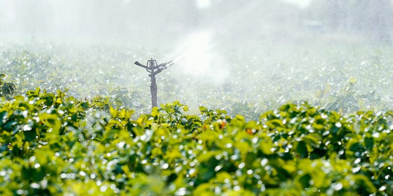 Eine Bewässerungsanlage versprüht Wasser auf einer Ackerfläche bei Beindersheim in Rheinland-Pfalz. - Foto: Uwe Anspach/dpa