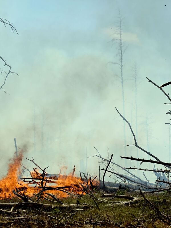 V případě velkého lesního požáru u Jüterbogu v Braniborsku mohou hasiči pouze toto