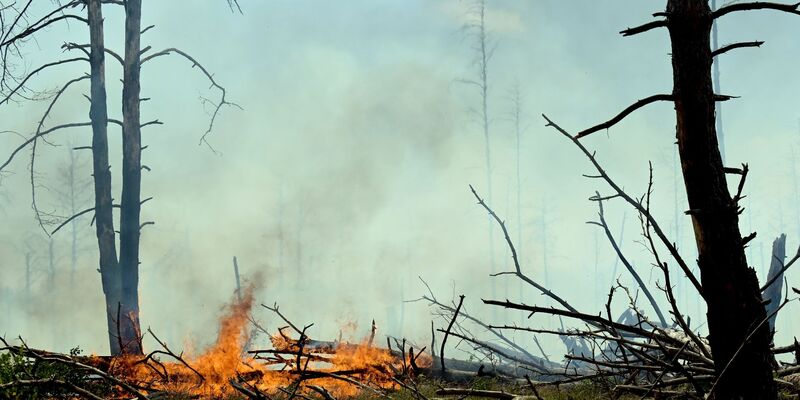 Der Wald bei Jüterbog brennt. - Foto: Michael Bahlo/dpa