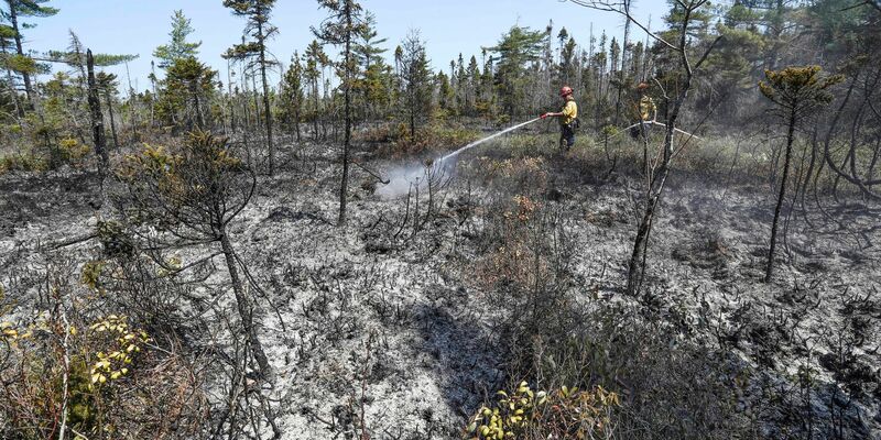 Löscharbeiten in einem Waldgebiet in Nova Scotia. - Foto: ---/Communications Nova Scotia via The Canadian Press/AP/dpa