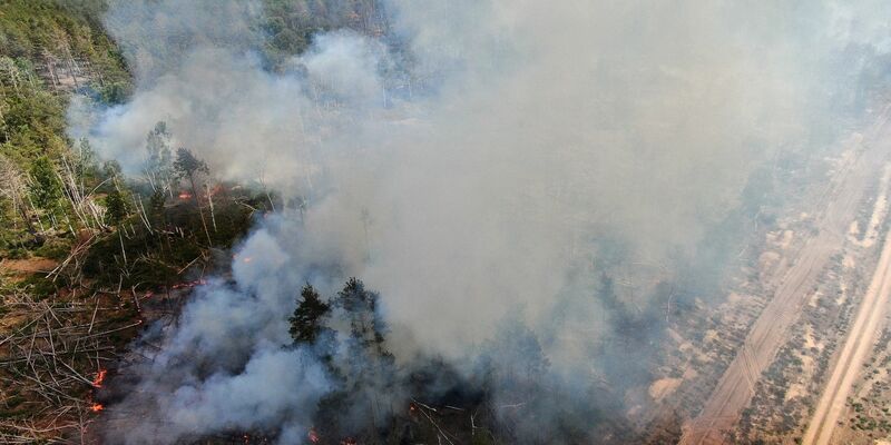 Einsatzkräfte bekämpfen nahe Jüterbog das Feuer in einem Waldstück. - Foto: Thomas Schulz/TNN/dpa