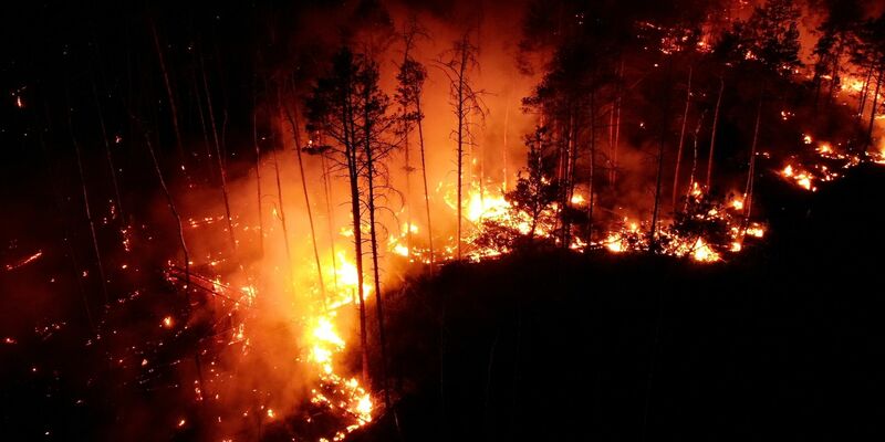 Auffrischender Wind hat den Waldbrand bei Jüterbog südlich von Berlin angefacht und die betroffene Fläche auf 326 Hektar mehr als verdoppelt. - Foto: Thomas Schulz/dpa