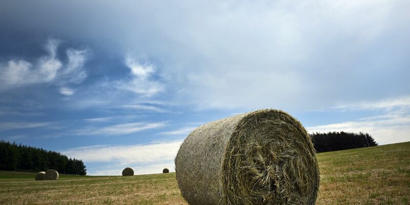 In den nächsten Tagen liegen die Höchstwerte zwischen 23 und 26 Grad, in Hochlagen bei 20 Grad. - Foto: Federico Gambarini/dpa