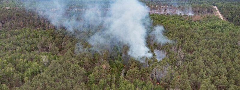 Vor dem Waldbrand wird im Naturschutzgebiet bei Jüterbog gewarnt. - Foto: Paul Zinken/dpa