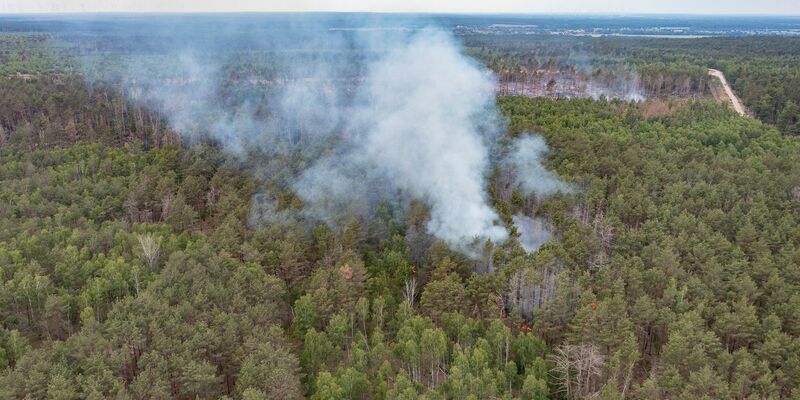 Ein Warnhinweis hängt im Naturschutzgebiet des ehemaligen Truppenübungsgelände bei Jüterbog. - Foto: Paul Zinken/dpa