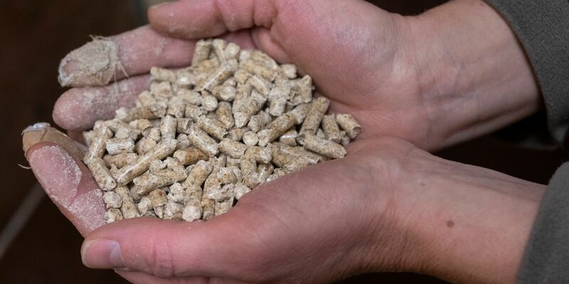 Verbände: Die Nutzung von Holz in Öfen gefährdet die Klimaziele und die Artenvielfalt. - Foto: Boris Roessler/dpa