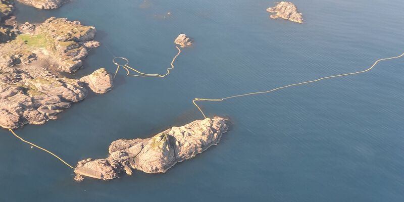 Auf den Lofoten im hohen Norden Norwegens ist ein Zwergwal ums Leben gekommen. - Foto: WDC/dpa