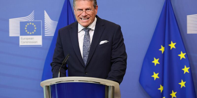 Maros Sefcovic, EU-Kommissar für interinstitutionelle Beziehungen und Zukunftsforschung, freut sich über die Ergebnisse der ersten gemeinsamen EU-Ausschreibung für den Gaseinkauf. - Foto: Geert Vanden Wijngaert/AP/dpa