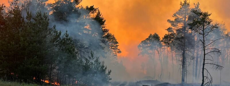 Rauch und Flammen steigen am 12. Juni in den Himmel aus einem Waldgebiet bei Lübtheen in Mecklenburg-Vorpommern. - Foto: Thomas Schulz/dpa