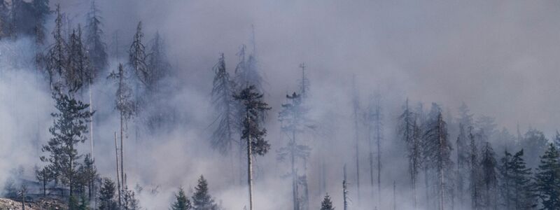 Waldbrand auf dem Altkönig bei Kronberg in Hessen. - Foto: Boris Roessler/dpa