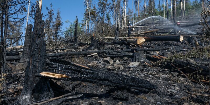 Ein Feuerwehrmann löscht Glutnester und wieder auflodernde Flammen bei einem Waldbrand auf dem Altkönig im Taunus. - Foto: Boris Roessler/dpa