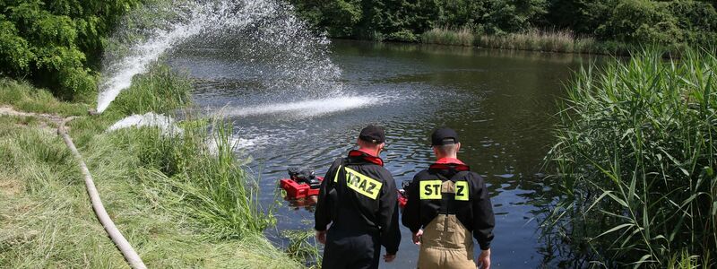 Der mit der Oder verbundene Gleiwitzer Kanal, in dem es erneut zu einer Blüte der giftigen Goldalge gekommen ist. (Archivbild) - Foto: Krzysztof Swiderski/PAP/dpa