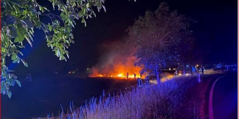 POL-VER: Pressemitteilung der Polizeiinspektion Verden/Osterholz von Samstag, den 21.12.2024 - Foto: presseportal.de