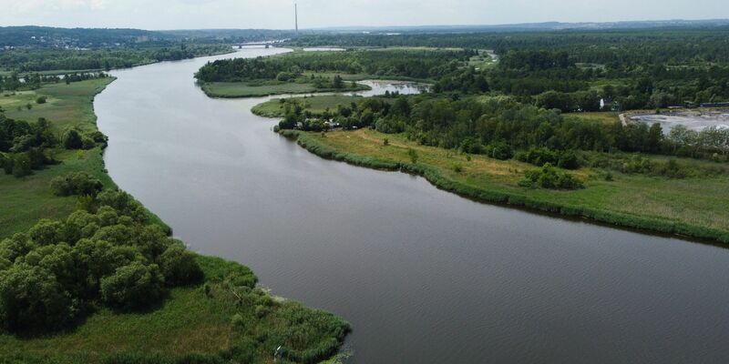 Blick auf die Oder bei Stettin: Behörden zufolge ist das Wasser im Unterlauf des Flusses frei von gefährlichen Goldalgen, die vergangenen Sommer zum großen Fischsterben geführt haben. - Foto: Marcin Bielecki/PAP/dpa