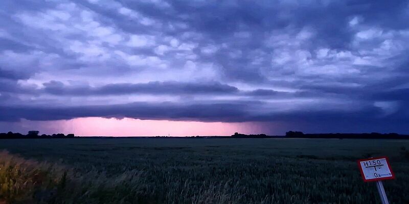 Eine Regenfront zieht über Brandenburg und Teile Sachsen-Anhalts hinweg. Mit zunehmender Feuchtigkeit wird die Hitze in den nächsten Tagen unangenehmer. - Foto: Cevin Dettlaff/dpa