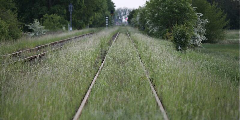 Schienen - Foto: ?ber dts Nachrichtenagentur