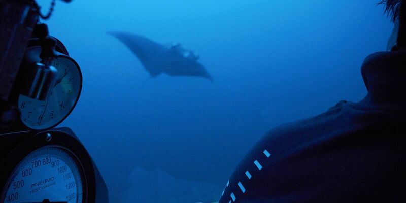 Zwei Drittel der Ozeane gehören zur Hochsee und waren damit bislang weitgehend rechtsfreier Raum. - Foto: David Keyton/AP