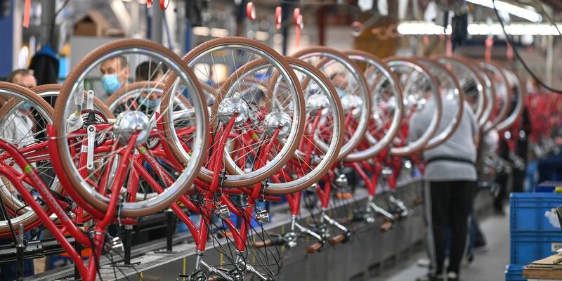 E-Bikes bescheren der Fahrradbranche auch nach der Pandemie gute Umsatzzahlen. - Foto: Heiko Rebsch/dpa
