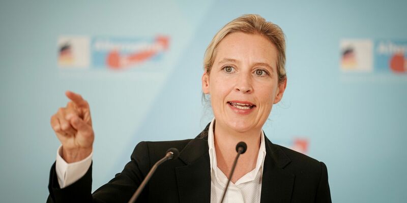 AfD-Chefin Alice Weidel nach der Europawahl. - Foto: Kay Nietfeld/dpa