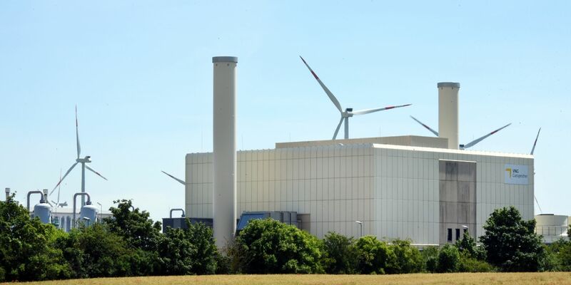 Vor allem Großunternehmen passen sich einer Studie zufolge an die Erderwärmung und ihren Folgen an. - Foto: Waltraud Grubitzsch/dpa