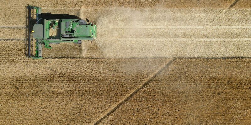 Ein Mähdrescher erntet Wintergerste im brandenburgischen Dahme/Mark. - Foto: Patrick Pleul/dpa