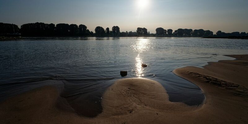 Die Sonne spiegelt sich auf dem Rhein bei Köln-Langel. - Foto: Henning Kaiser/dpa