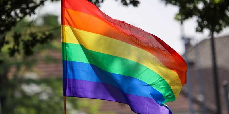 Eine Regenbogenfahne weht im Wind. - Foto: Focke Strangmann/dpa