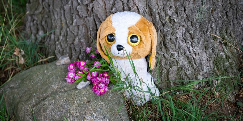 Gedenken nahe der Unfallstelle in  Toppenstedt, wo ein erwachsener Mann und ein Junge tödlich verunglückt sind. - Foto: Jonas Walzberg/dpa