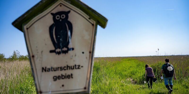 Ein Schild mit der Aufschrift «Naturschutzgebiet» in Mecklenburg-Vorpommern. - Foto: Stefan Sauer/dpa