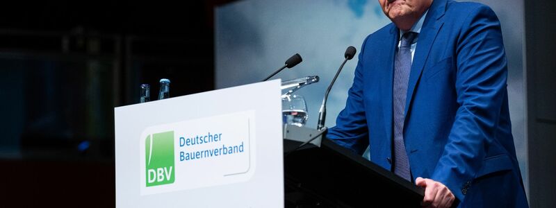 Bauernpräsident Joachim Rukwied beim Deutschen Bauerntag in Münster. - Foto: Guido Kirchner/dpa