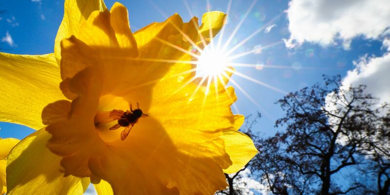 Im Südwesten Deutschlands war der Juni im Vergleich zu den Jahren 1961-1990 mehr als 4 Grad zu warm. - Foto: Christian Charisius/dpa