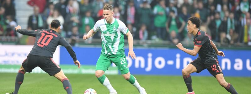 Michael Olise ist mit zwei Treffern und zwei Assists der überragende Bayern-Spieler in Bremen. - Foto: Carmen Jaspersen/dpa