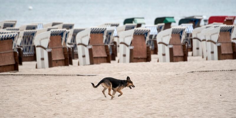 Regnerisches Wetter mit verschlossenen Strandkörben am Strand von Warnemünde. - Foto: Frank Hormann/dpa
